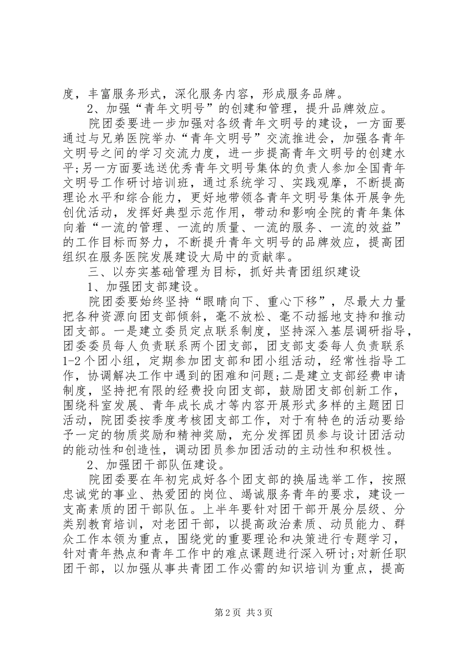 2024年人民医院团委的工作计划_第2页