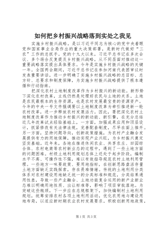 2024年如何把乡村振兴战略落到实处之我见