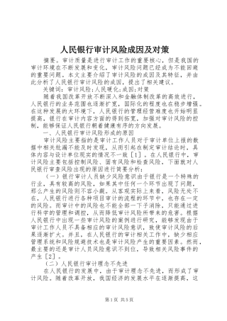 2024年人民银行审计风险成因及对策