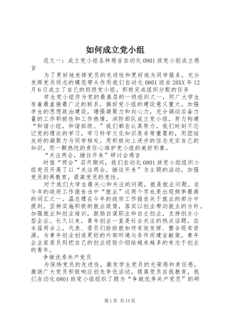 2024年如何成立党小组