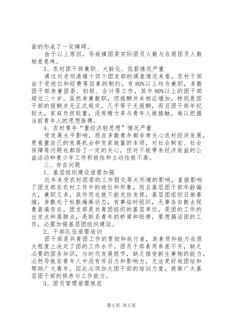 2024年人民政府团委工作经验交流_第2页