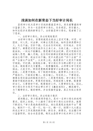 2024年浅谈如何在新常态下当好审计局长