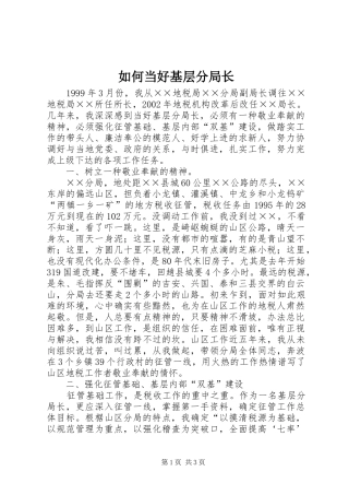 2024年如何当好基层分局长