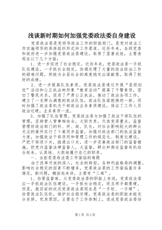 2024年浅谈新时期如何加强党委政法委自身建设