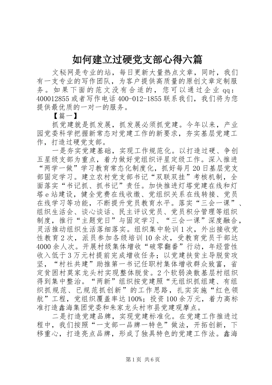 2024年如何建立过硬党支部心得六篇_第1页