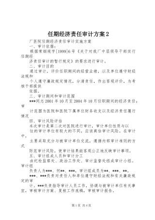 2024年任期经济责任审计方案