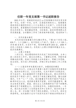 2024年任职一年党支部第一书记述职报告
