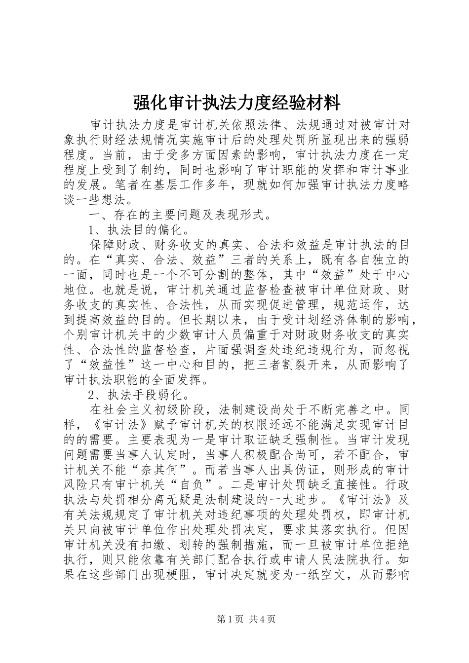 2024年强化审计执法力度经验材料_第1页