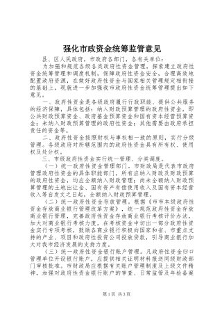 2024年强化市政资金统筹监管意见