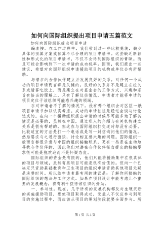 2024年如何向国际组织提出项目申请五篇范文