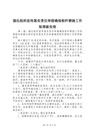2024年强化组织宣传落实责任举措确保秸秆禁烧工作取得新实效