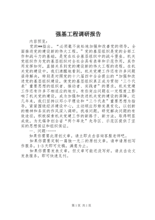 2024年强基工程调研报告