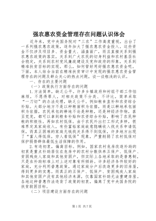 2024年强农惠农资金管理存在问题认识体会