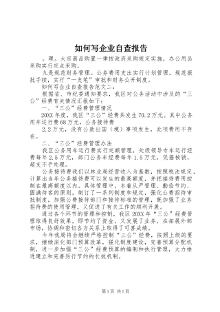 2024年如何写企业自查报告