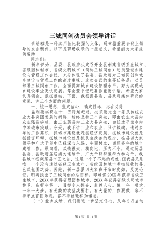 2024年三城同创动员会领导致辞