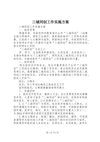2024年三城同创工作实施方案