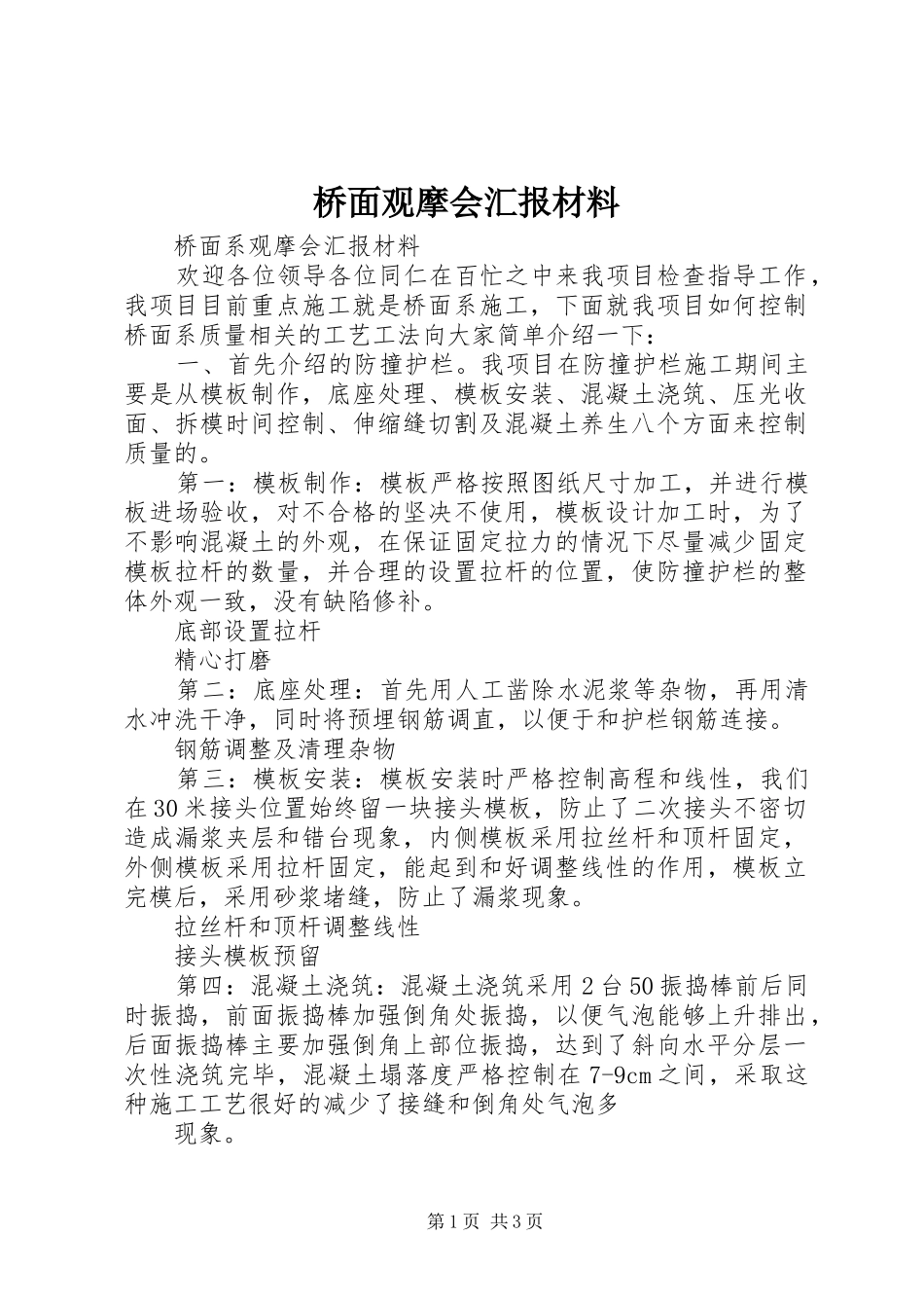 2024年桥面观摩会汇报材料_第1页