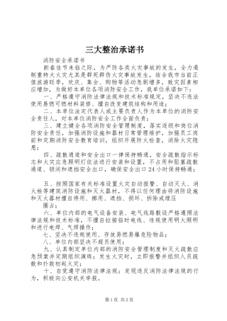 2024年三大整治承诺书