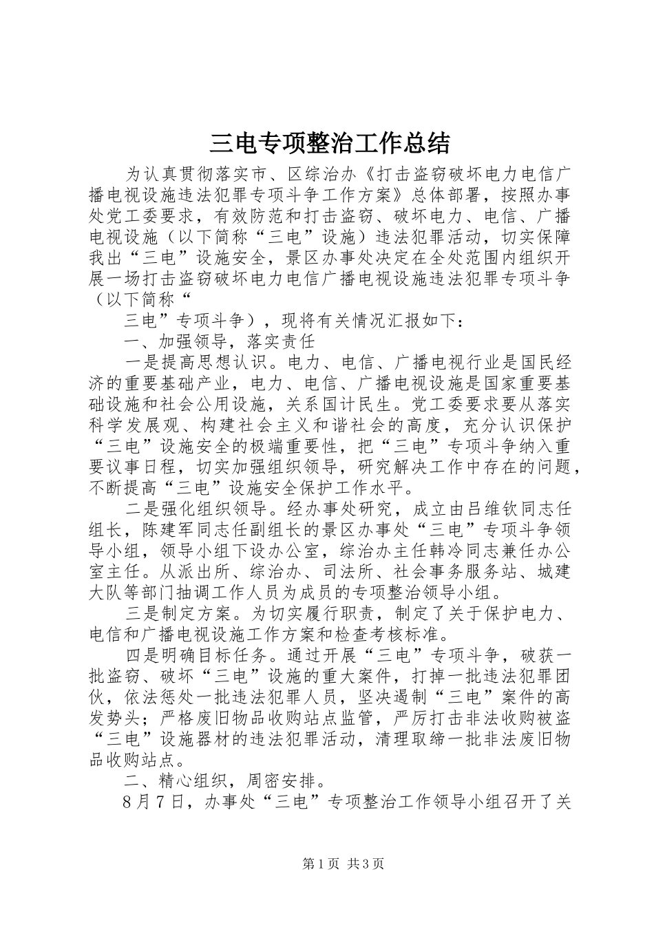 2024年三电专项整治工作总结_第1页