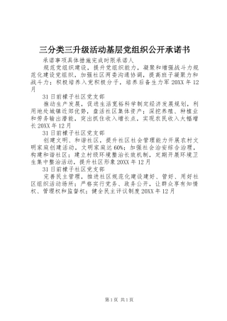 2024年三分类三升级活动基层党组织公开承诺书