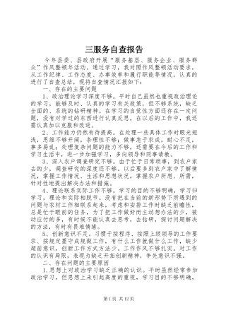 2024年三服务自查报告