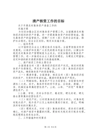 2024年清产核资工作的目标