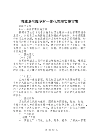2024年清城卫生院乡村一体化管理实施方案