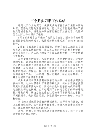 2024年三个月实习期工作总结