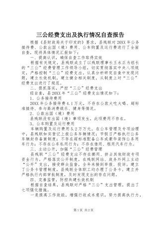 2024年三公经费支出及执行情况自查报告