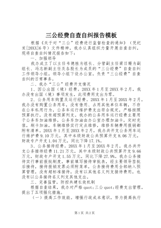 2024年三公经费自查自纠报告模板