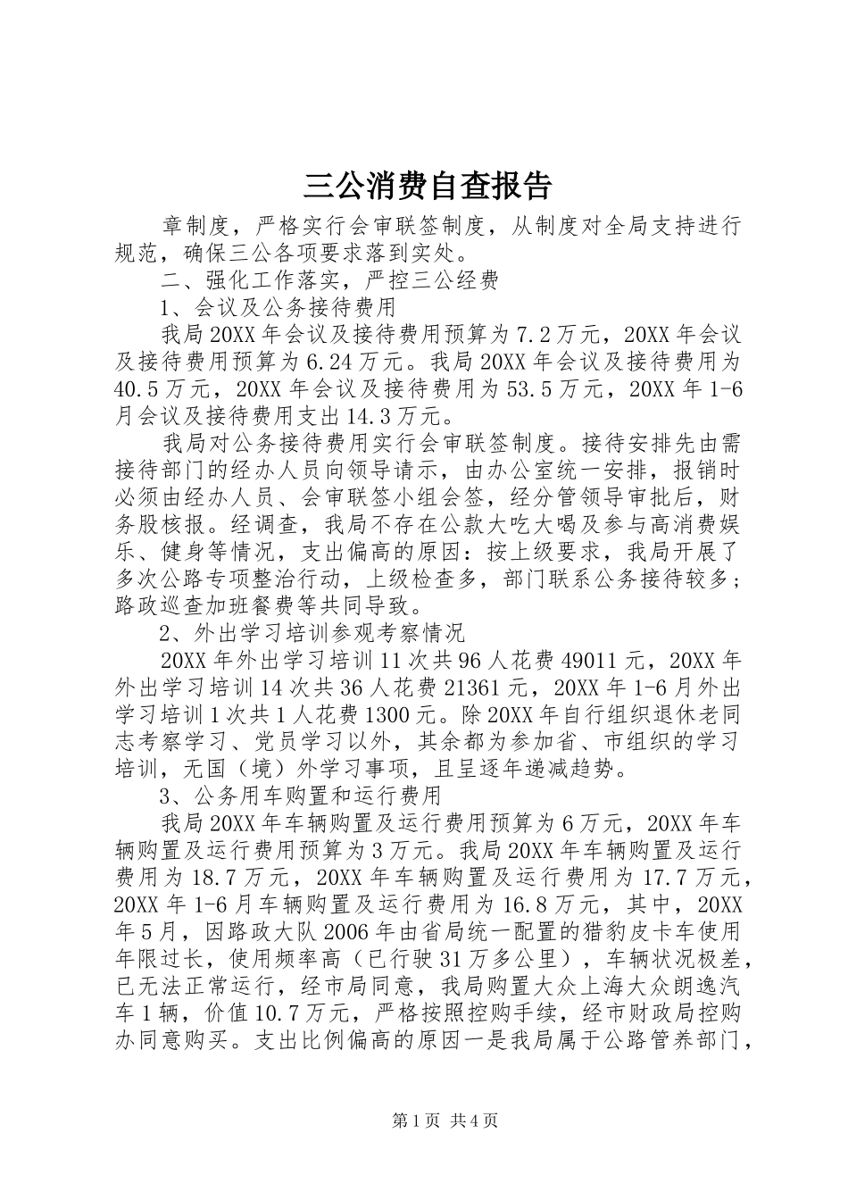 2024年三公消费自查报告_第1页