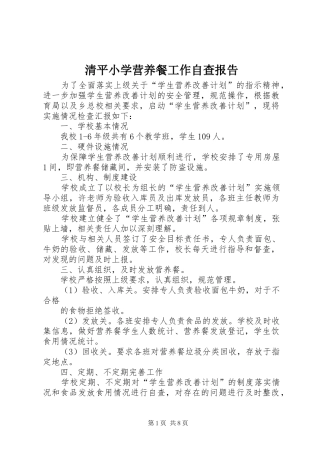 2024年清平小学营养餐工作自查报告