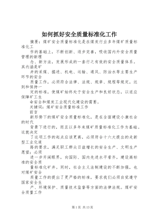 2024年如何抓好安全质量标准化工作