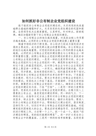 2024年如何抓好非公有制企业党组织建设