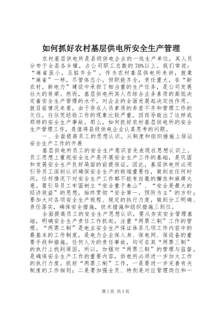 2024年如何抓好农村基层供电所安全生产管理