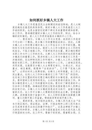 2024年如何抓好乡镇人大工作