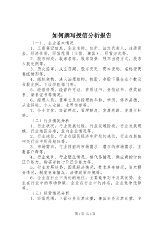 2024年如何撰写授信分析报告