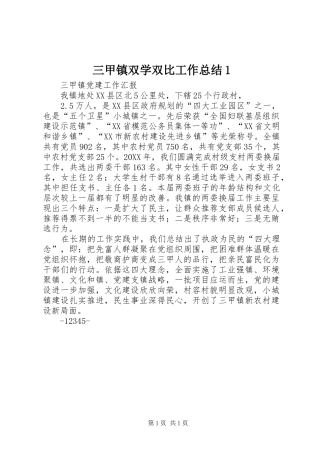 2024年三甲镇双学双比工作总结