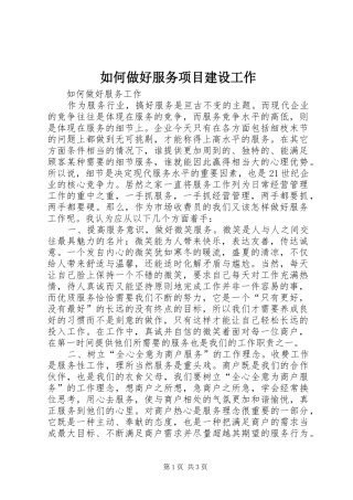 2024年如何做好服务项目建设工作