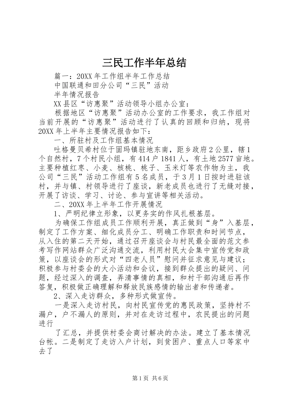 2024年三民工作半年总结_第1页