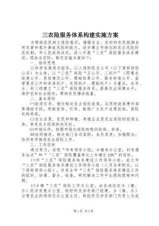 2024年三农险服务体系构建实施方案