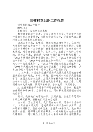 2024年三铺村党组织工作报告