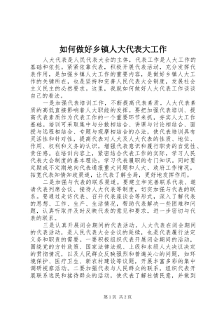 2024年如何做好乡镇人大代表大工作