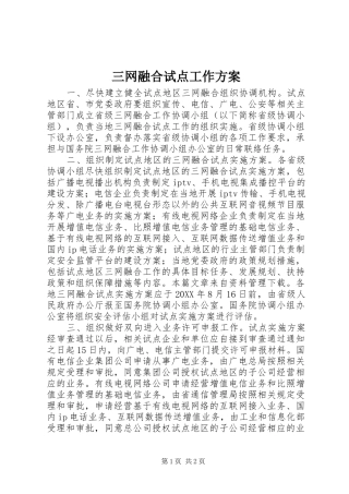 2024年三网融合试点工作方案