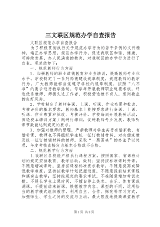 2024年三文联区规范办学自查报告