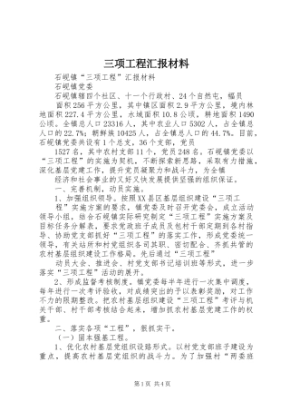 2024年三项工程汇报材料