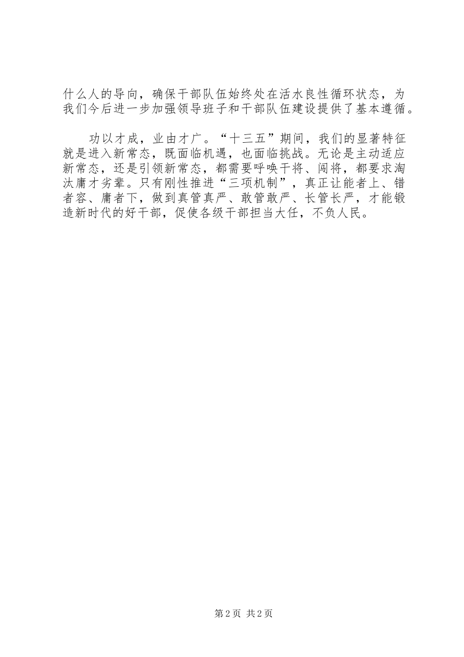 2024年三项机制剖析材料_第2页