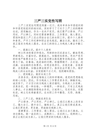 2024年三严三实党性写照