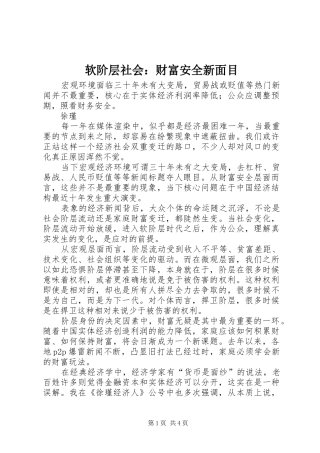 2024年软阶层社会财富安全新面目