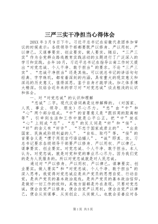 2024年三严三实干净担当心得体会